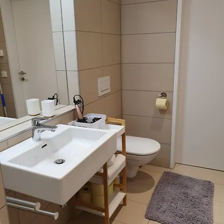 Microflat * Линц